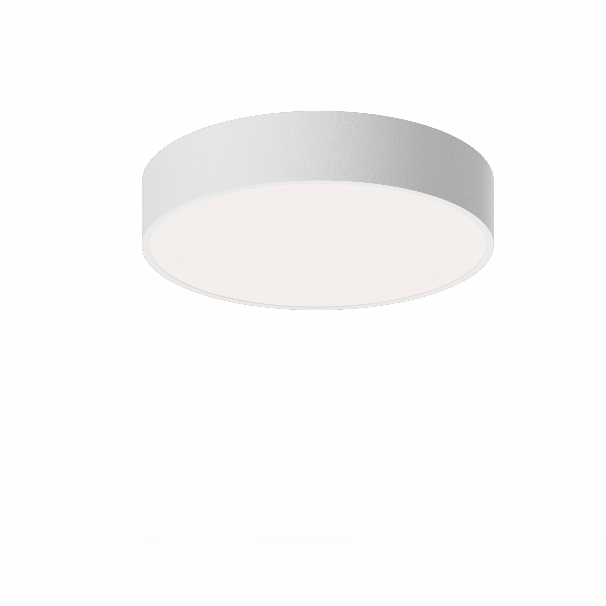 EXAL_P_WHITE_Image30